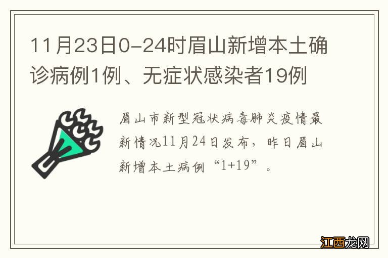 11月23日0-24时眉山新增本土确诊病例1例、无症状感染者19例