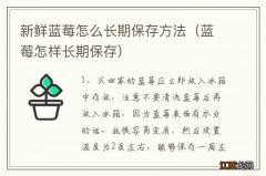 蓝莓怎样长期保存 新鲜蓝莓怎么长期保存方法