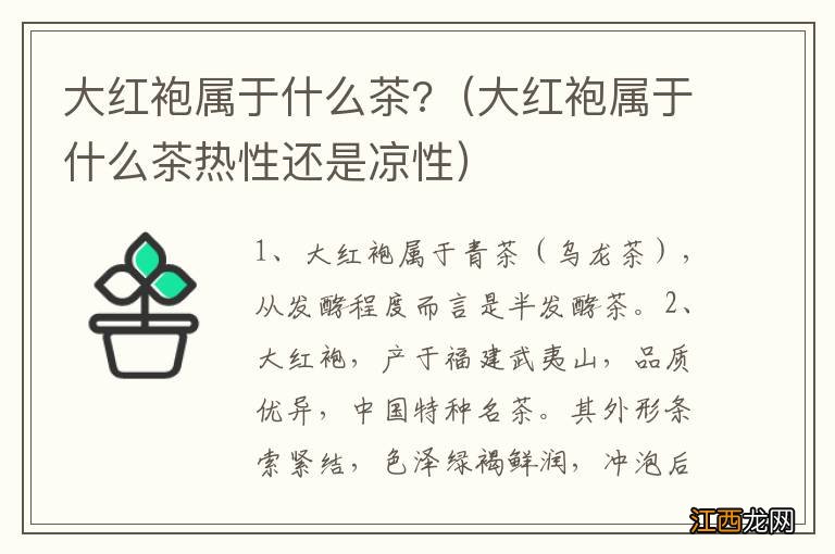 大红袍属于什么茶热性还是凉性 大红袍属于什么茶?