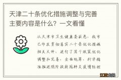 天津二十条优化措施调整与完善主要内容是什么？一文看懂