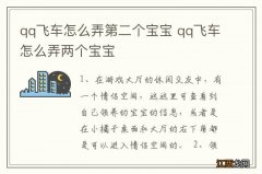 qq飞车怎么弄第二个宝宝 qq飞车怎么弄两个宝宝