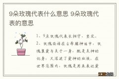 9朵玫瑰代表什么意思 9朵玫瑰代表的意思