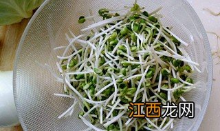 豆芽抽检不合格如何处理好 豆芽抽检不合格如何处理