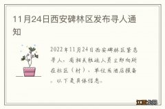 11月24日西安碑林区发布寻人通知