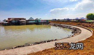 石楼海鸥岛公路几时扩建的 石楼海鸥岛公路几时扩建