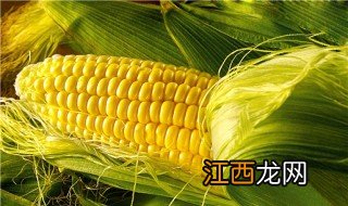 怎样种玉米高产 玉米高产种植方法分享