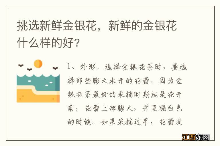 挑选新鲜金银花，新鲜的金银花什么样的好?