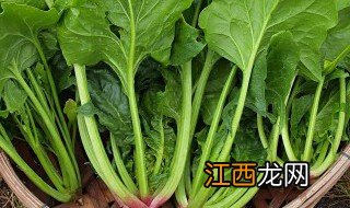 菠菜怎么保存长期吃不中毒 菠菜存放时间长有毒吗