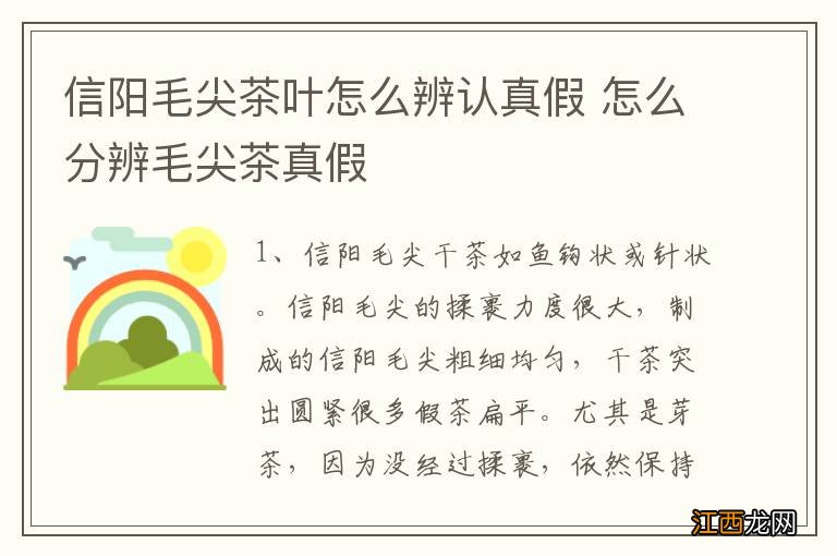 信阳毛尖茶叶怎么辨认真假 怎么分辨毛尖茶真假