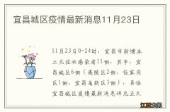 宜昌城区疫情最新消息11月23日