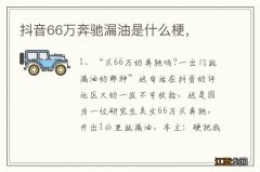 抖音66万奔驰漏油是什么梗，