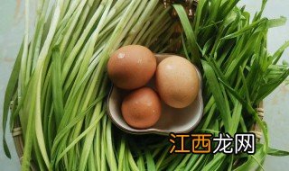 新鲜蒜苗怎么长期保存方法 新鲜大蒜苗怎么长期保存方法