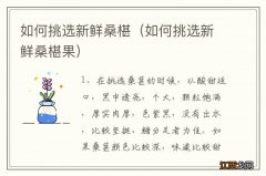 如何挑选新鲜桑椹果 如何挑选新鲜桑椹