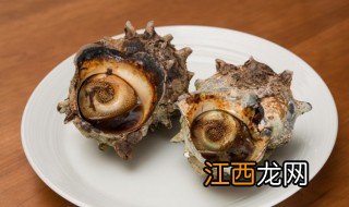 海螺怎么吃味道最好 海螺怎么吃味道最好吃