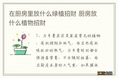 在厨房里放什么绿植招财 厨房放什么植物招财