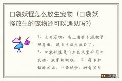 口袋妖怪放生的宠物还可以遇见吗? 口袋妖怪怎么放生宠物