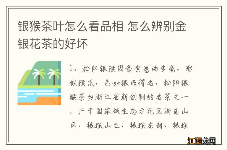 银猴茶叶怎么看品相 怎么辨别金银花茶的好坏