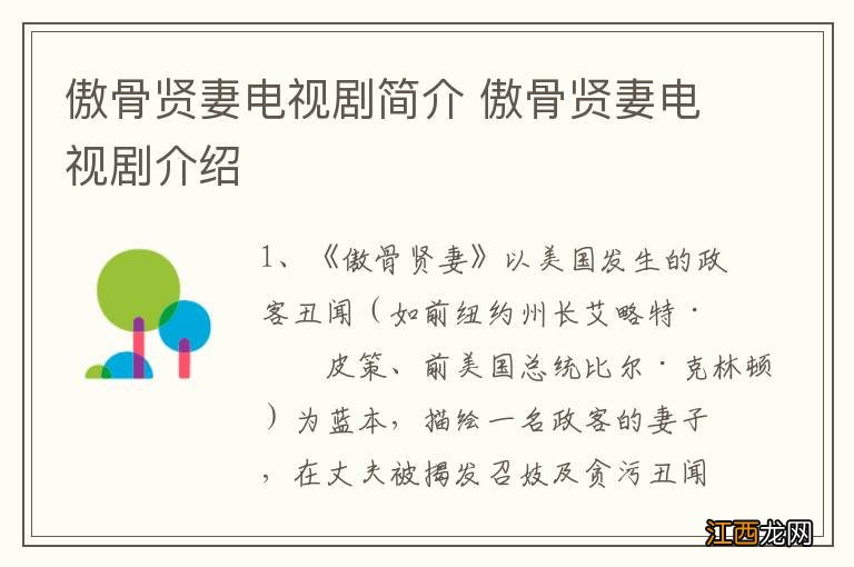 傲骨贤妻电视剧简介 傲骨贤妻电视剧介绍