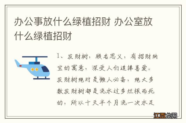 办公事放什么绿植招财 办公室放什么绿植招财