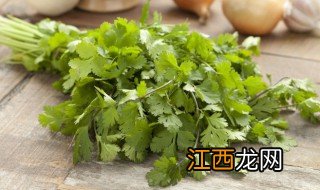 储存香菜不烂的方法 怎么保存香菜不坏
