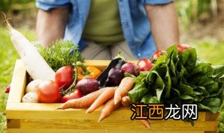 空气炸锅 萝卜 萝卜空气炸锅多久