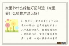 家里养什么植物对财运好 家里养什么绿植好招财运