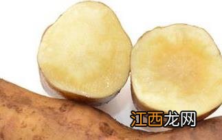 雪莲果的功效作用和副作用