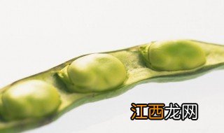 蚕豆种植最佳时间和方法 蚕豆种植最佳时间