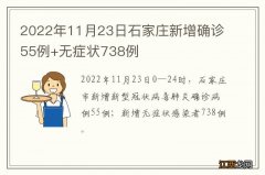 2022年11月23日石家庄新增确诊55例+无症状738例