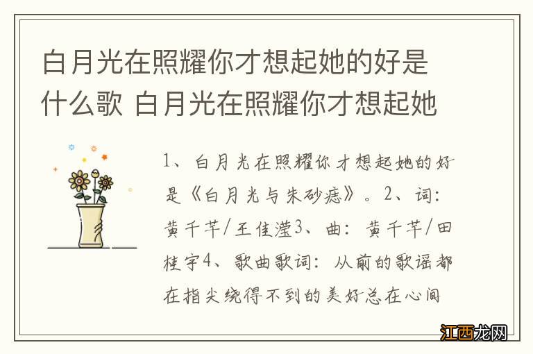 白月光在照耀你才想起她的好是什么歌 白月光在照耀你才想起她的好是那首歌曲呢