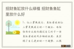 招财鱼缸放什么绿植 招财鱼鱼缸里放什么好