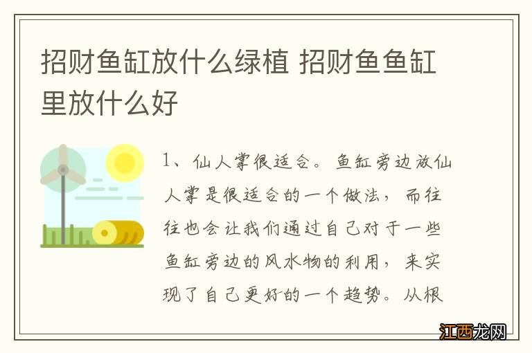 招财鱼缸放什么绿植 招财鱼鱼缸里放什么好