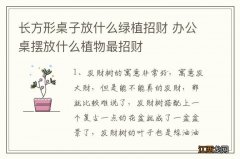 长方形桌子放什么绿植招财 办公桌摆放什么植物最招财