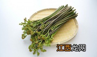 蕨菜炒多久会熟 蕨菜下锅煮几分钟就熟了