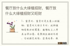 餐厅放什么大绿植招财，餐厅放什么大绿植招财又旺财