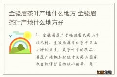 金骏眉茶叶产地什么地方 金骏眉茶叶产地什么地方好