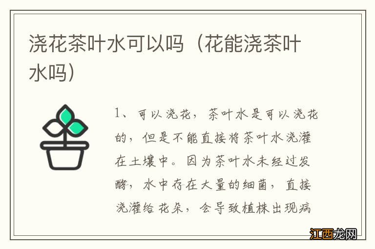 花能浇茶叶水吗 浇花茶叶水可以吗