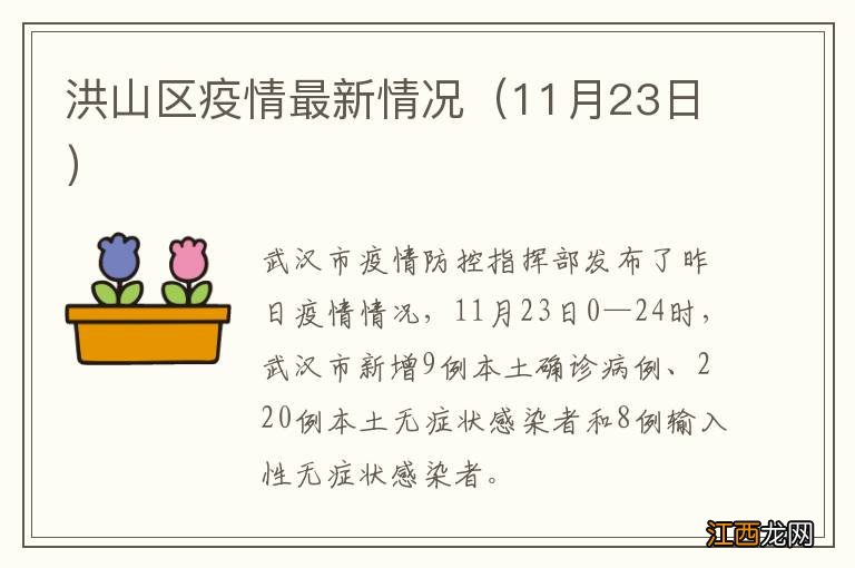 11月23日 洪山区疫情最新情况