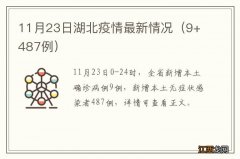 9+487例 11月23日湖北疫情最新情况