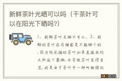 干茶叶可以在阳光下晒吗? 新鲜茶叶光晒可以吗