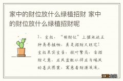 家中的财位放什么绿植招财 家中的财位放什么绿植招财呢