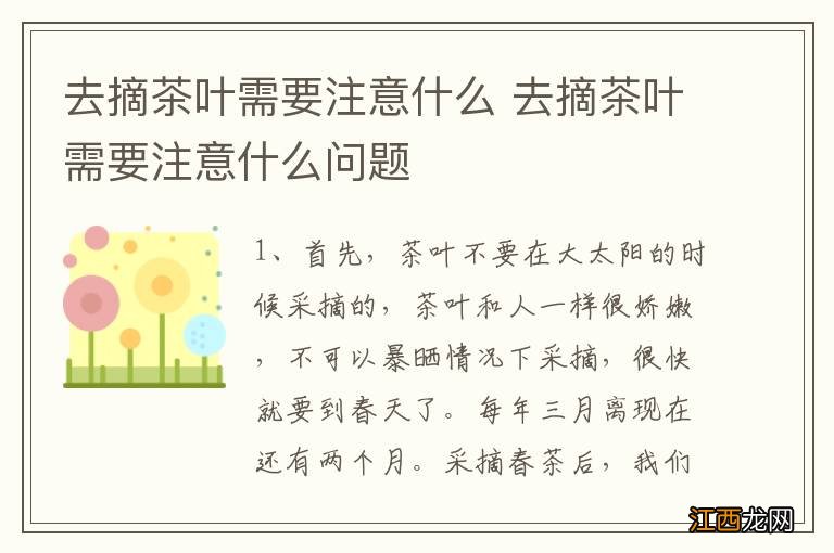 去摘茶叶需要注意什么 去摘茶叶需要注意什么问题