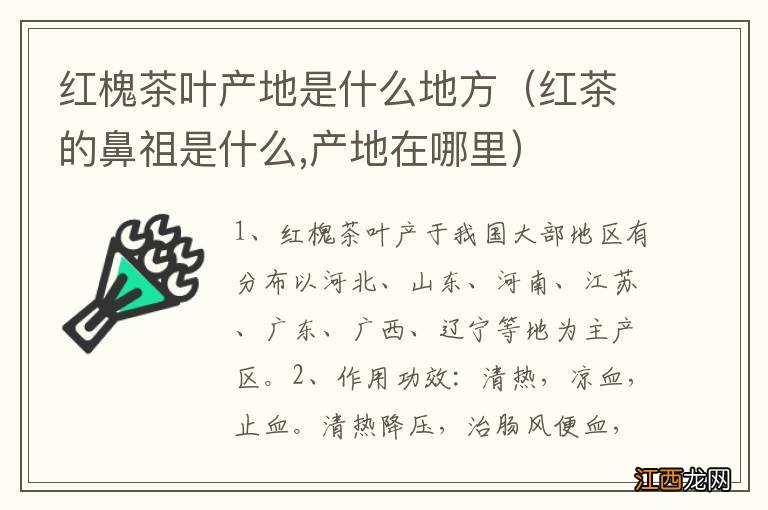 红茶的鼻祖是什么,产地在哪里 红槐茶叶产地是什么地方