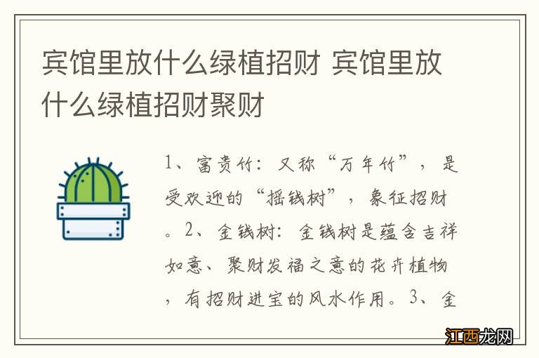 宾馆里放什么绿植招财 宾馆里放什么绿植招财聚财