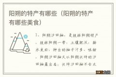 阳朔的特产有哪些美食 阳朔的特产有哪些