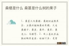 桑椹是什么 桑葚是什么树的果子