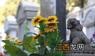 墓碑放什么绿植招财转运 墓碑放什么绿植招财