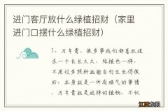 家里进门口摆什么绿植招财 进门客厅放什么绿植招财