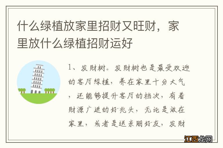 什么绿植放家里招财又旺财，家里放什么绿植招财运好