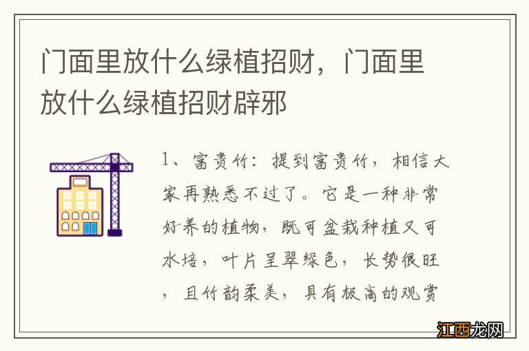 门面里放什么绿植招财，门面里放什么绿植招财辟邪